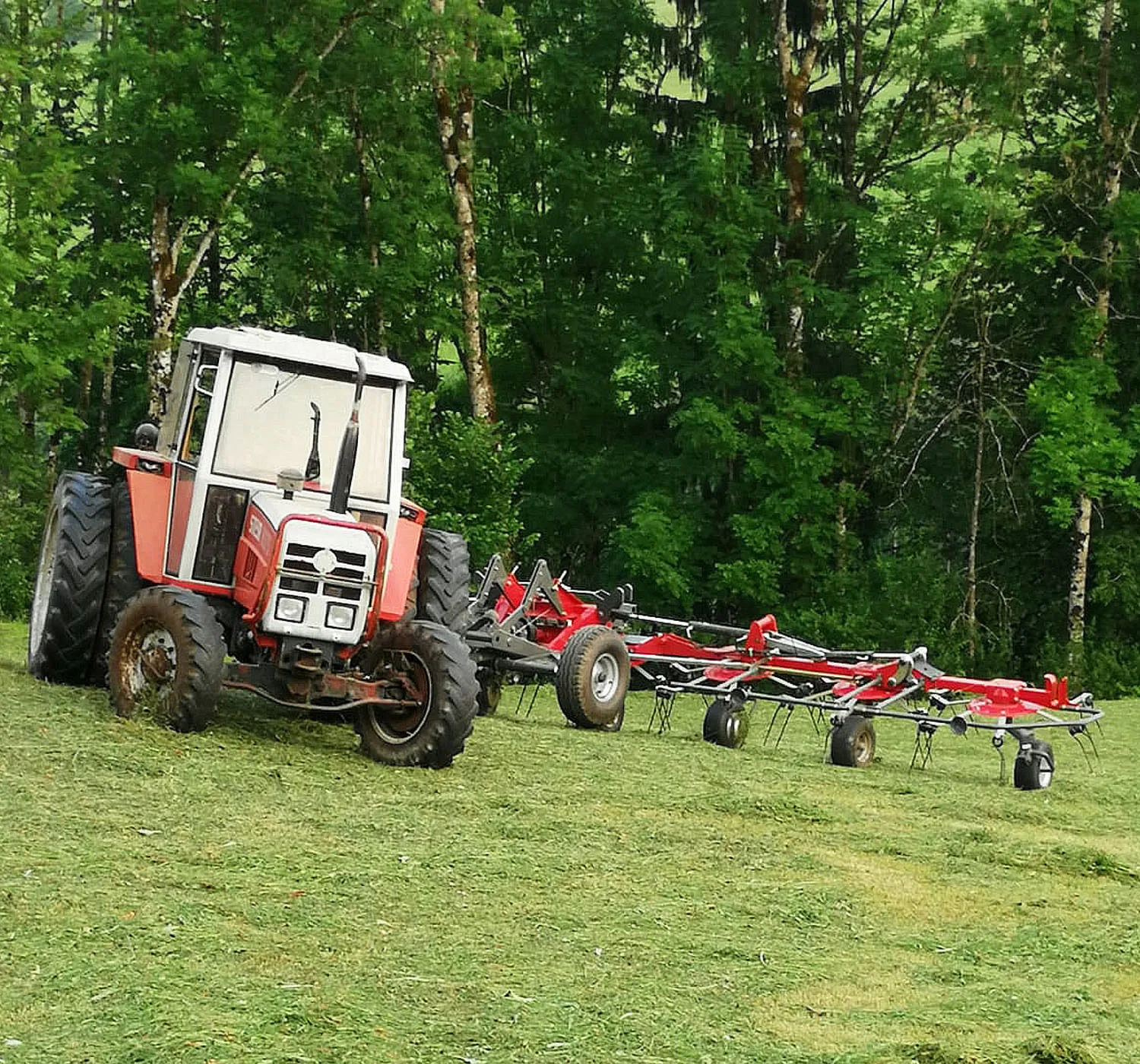 Traktor mit angehängtem Heuwender am Waldrand