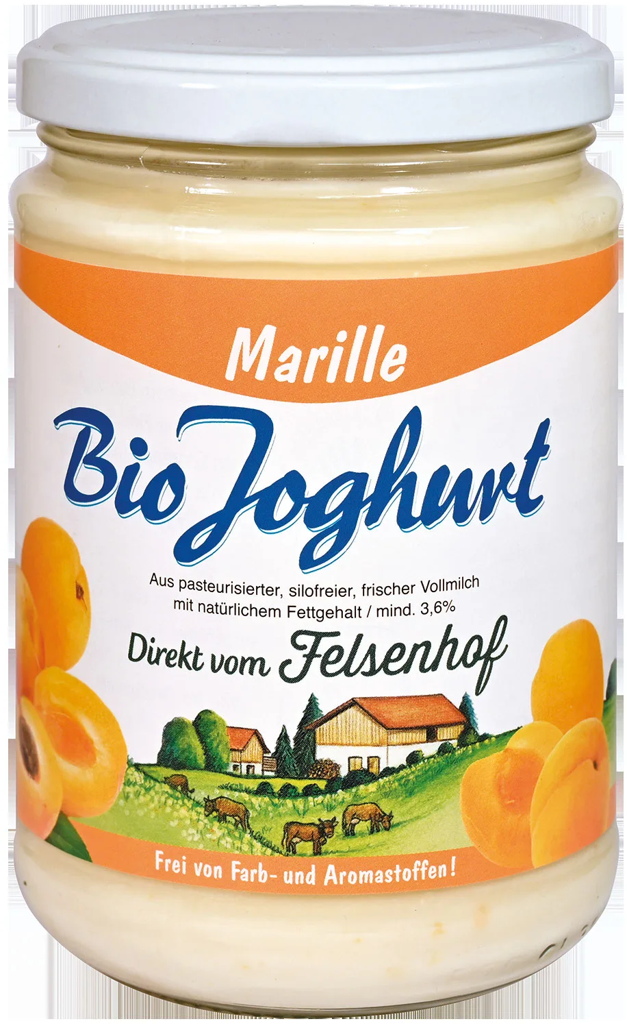 Glas Bio Joghurt Marille vom Felsenhof